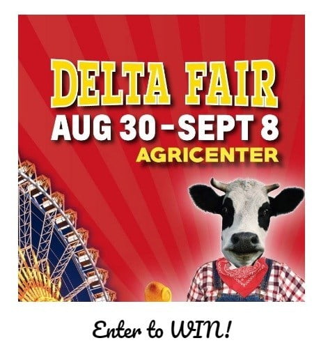 WREG.com The Delta Fair Sweepstakes
