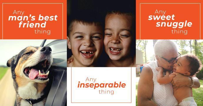 Shutterfly 20th Anniversary Submissions Contest – Win Gift Card