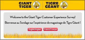 Giant Tiger Customer Experience Survey