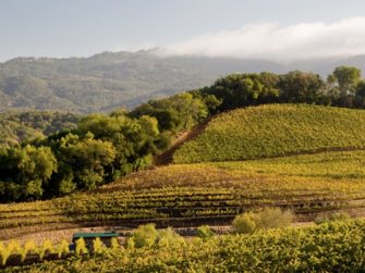 Macaroni Grill Tuscan Trip Giveaway - Win Trip