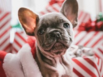 Most Wonderful Holiday Gifts Sweepstakes - Win Gift Card