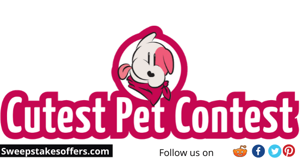 Cherry Insurance Cutest Pet Contest