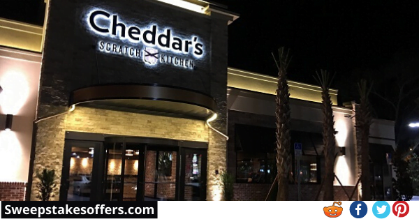 www.cheddarsfeedback.com