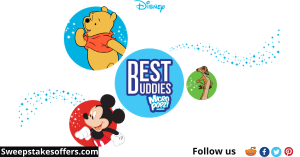 www.bestbuddiesmicropopz.com